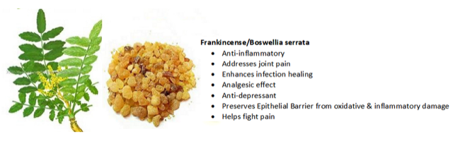 Frankincense-Infographic-Apex-Health