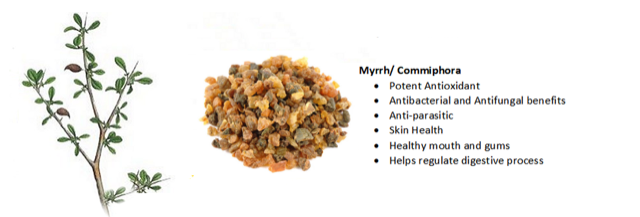 Myrrh-Infographic-Apex-Health